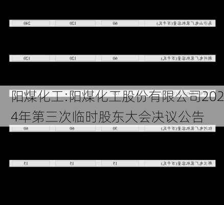 阳煤化工:阳煤化工股份有限公司2024年第三次临时股东大会决议公告