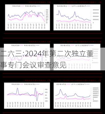 二六三:2024年第二次独立董事专门会议审查意见