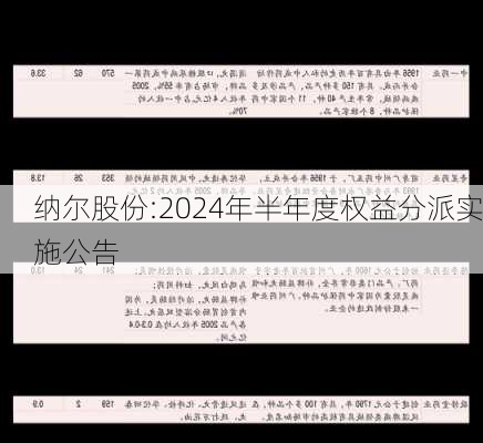 纳尔股份:2024年半年度权益分派实施公告