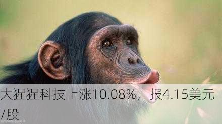 大猩猩科技上涨10.08%，报4.15美元/股