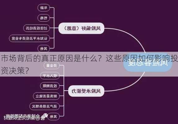 市场背后的真正原因是什么？这些原因如何影响投资决策？