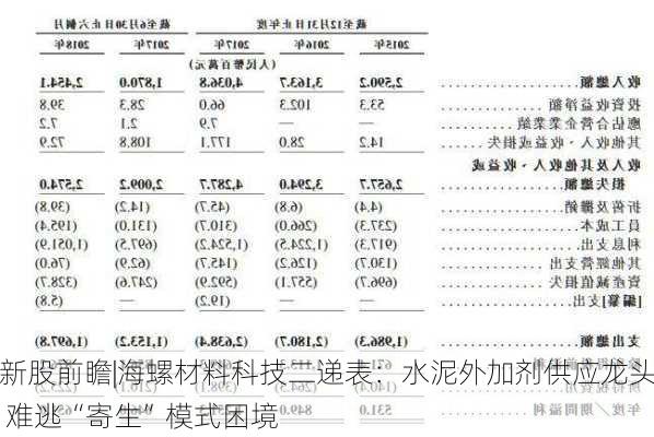 新股前瞻|海螺材料科技二递表：水泥外加剂供应龙头 难逃“寄生”模式困境