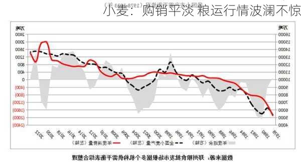 小麦：购销平淡 粮运行情波澜不惊