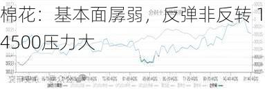 棉花：基本面孱弱，反弹非反转 14500压力大