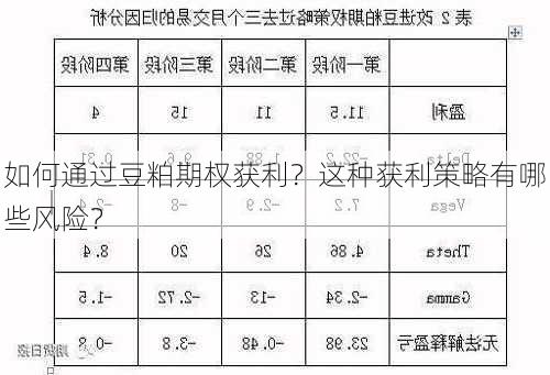 如何通过豆粕期权获利？这种获利策略有哪些风险？