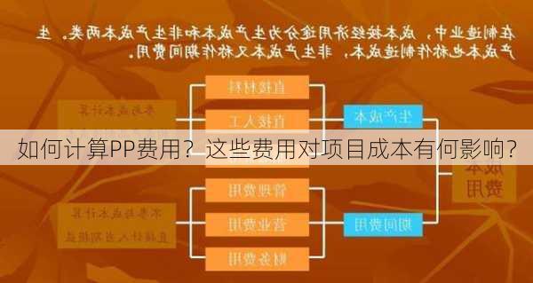 如何计算PP费用？这些费用对项目成本有何影响？