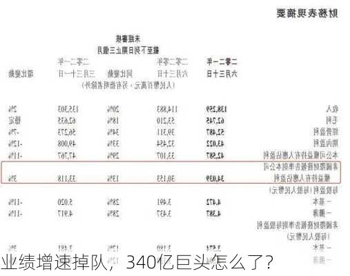 业绩增速掉队，340亿巨头怎么了？