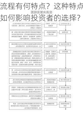 流程有何特点？这种特点如何影响投资者的选择？