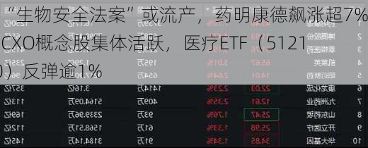 美“生物安全法案”或流产，药明康德飙涨超7%！CXO概念股集体活跃，医疗ETF（512170）反弹逾1%