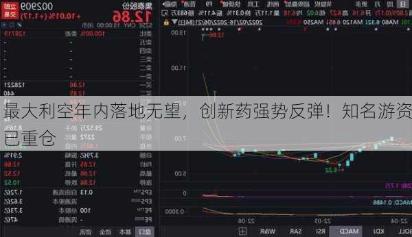 最大利空年内落地无望，创新药强势反弹！知名游资已重仓