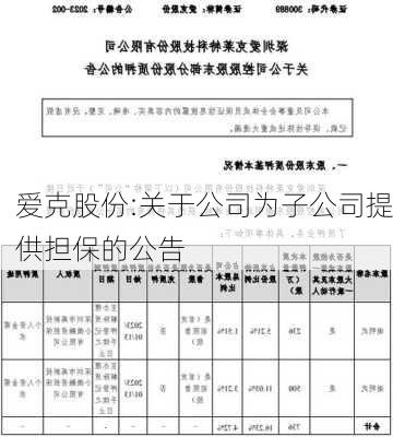 爱克股份:关于公司为子公司提供担保的公告