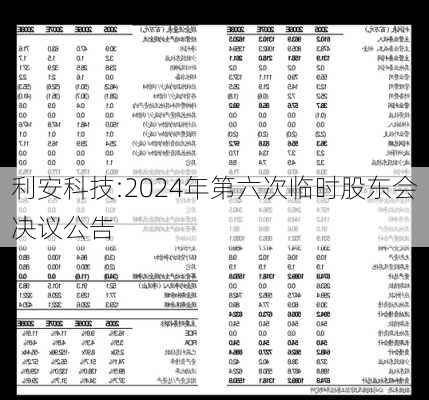 利安科技:2024年第六次临时股东会决议公告