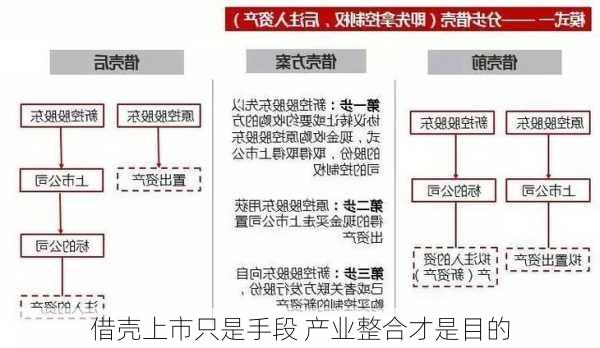 借壳上市只是手段 产业整合才是目的