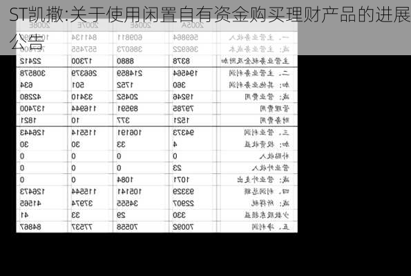 ST凯撒:关于使用闲置自有资金购买理财产品的进展公告