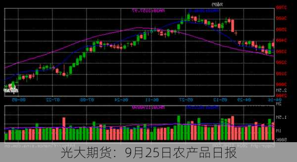 光大期货：9月25日农产品日报