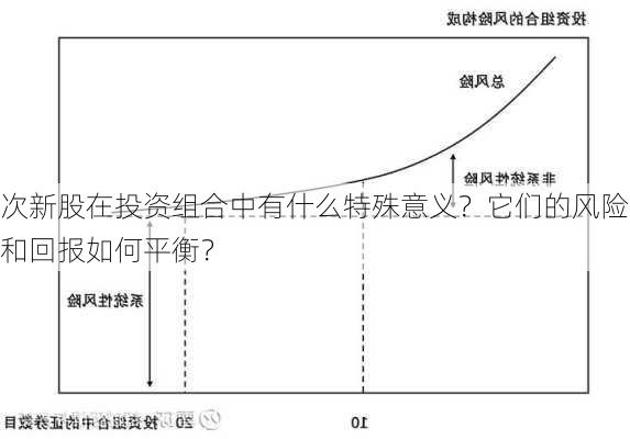 次新股在投资组合中有什么特殊意义？它们的风险和回报如何平衡？