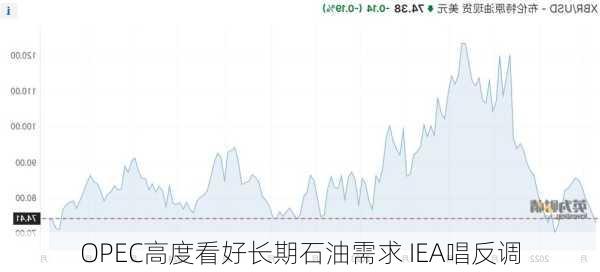 OPEC高度看好长期石油需求 IEA唱反调