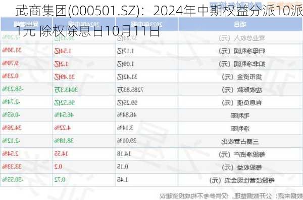 武商集团(000501.SZ)：2024年中期权益分派10派1元 除权除息日10月11日