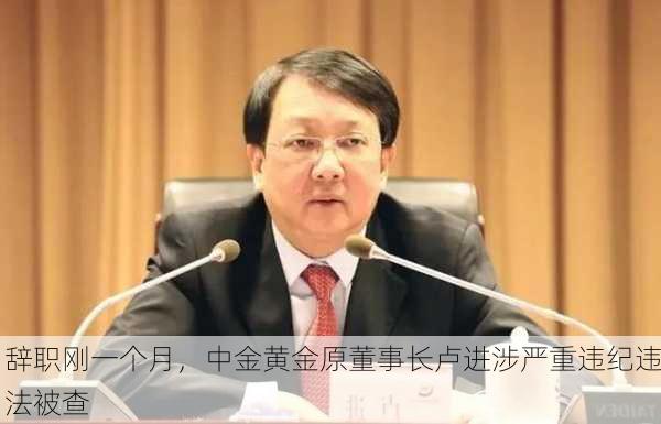 辞职刚一个月，中金黄金原董事长卢进涉严重违纪违法被查