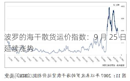 波罗的海干散货运价指数：9 月 25 日延续涨势