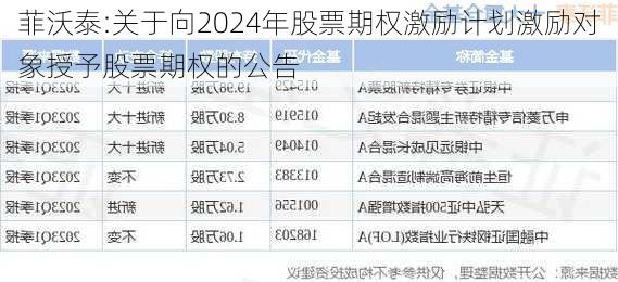 菲沃泰:关于向2024年股票期权激励计划激励对象授予股票期权的公告