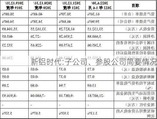 新铝时代:子公司、参股公司简要情况