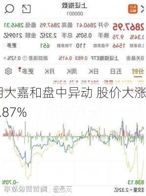 明大嘉和盘中异动 股价大涨5.87%