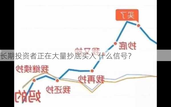 长期投资者正在大量抄底买入 什么信号？