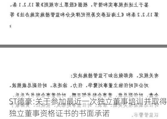 ST德豪:关于参加最近一次独立董事培训并取得独立董事资格证书的书面承诺