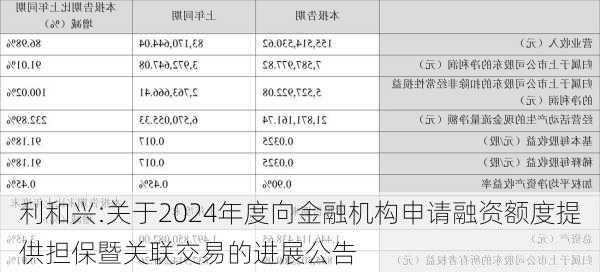 利和兴:关于2024年度向金融机构申请融资额度提供担保暨关联交易的进展公告