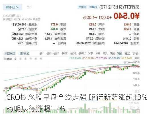 CRO概念股早盘全线走强 昭衍新药涨超13%药明康德涨超12%