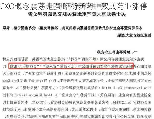 CXO概念震荡走强 昭衍新药、双成药业涨停