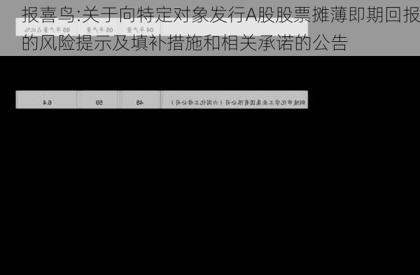 报喜鸟:关于向特定对象发行A股股票摊薄即期回报的风险提示及填补措施和相关承诺的公告