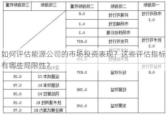 如何评估能源公司的市场投资表现？这些评估指标有哪些局限性？