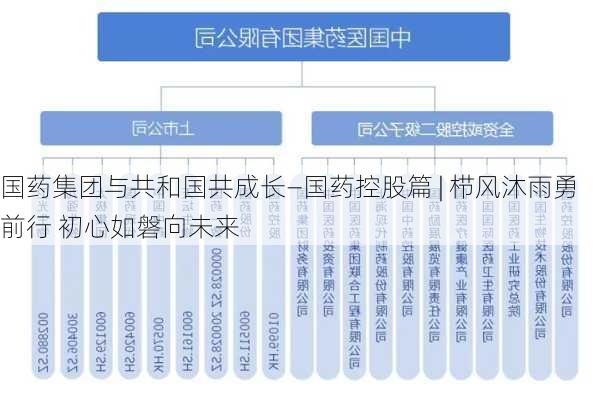 国药集团与共和国共成长—国药控股篇 | 栉风沐雨勇前行 初心如磐向未来