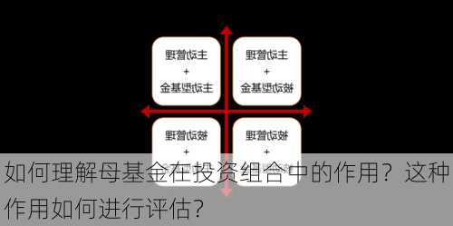 如何理解母基金在投资组合中的作用？这种作用如何进行评估？