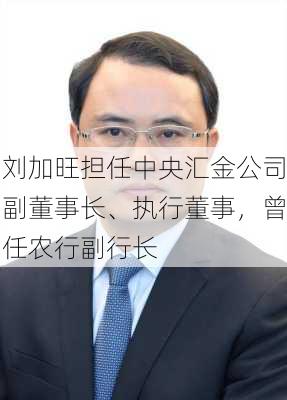 刘加旺担任中央汇金公司副董事长、执行董事，曾任农行副行长