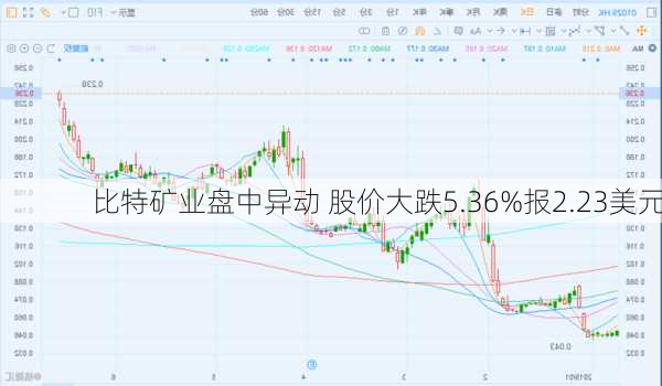 比特矿业盘中异动 股价大跌5.36%报2.23美元