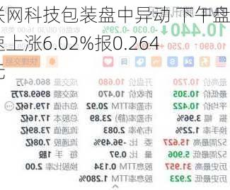 互联网科技包装盘中异动 下午盘急速上涨6.02%报0.264美元