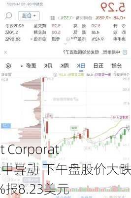 Irobot Corporation盘中异动 下午盘股价大跌5.29%报8.23美元