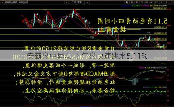 安霸盘中异动 下午盘快速跳水5.11%