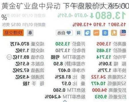 黄金矿业盘中异动 下午盘股价大涨5.00%