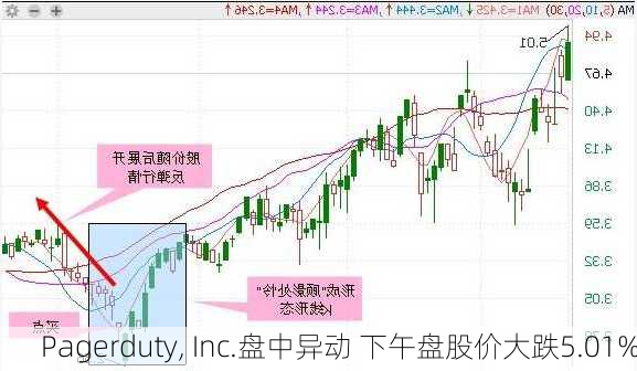 Pagerduty, Inc.盘中异动 下午盘股价大跌5.01%