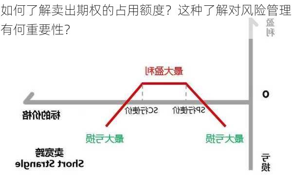 如何了解卖出期权的占用额度？这种了解对风险管理有何重要性？