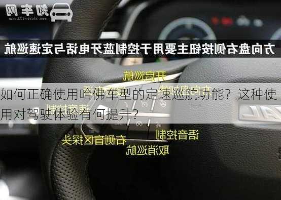 如何正确使用哈佛车型的定速巡航功能？这种使用对驾驶体验有何提升？