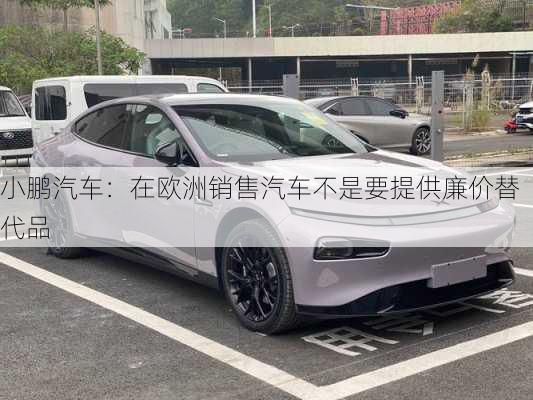 小鹏汽车：在欧洲销售汽车不是要提供廉价替代品