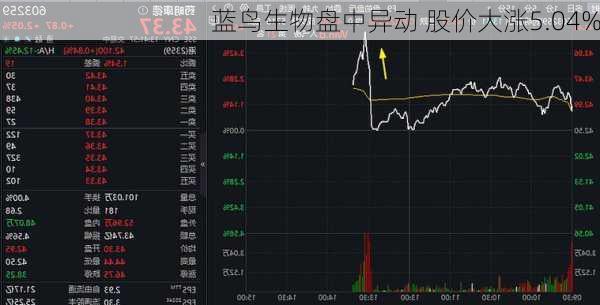 蓝鸟生物盘中异动 股价大涨5.04%