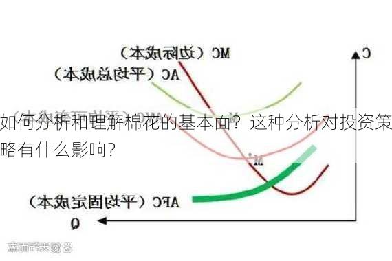 如何分析和理解棉花的基本面？这种分析对投资策略有什么影响？