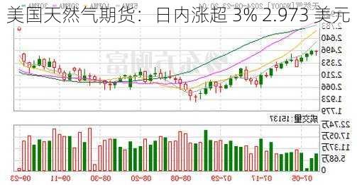 美国天然气期货：日内涨超 3% 2.973 美元