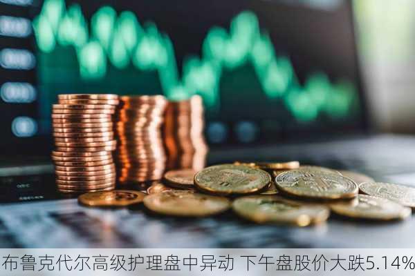 布鲁克代尔高级护理盘中异动 下午盘股价大跌5.14%